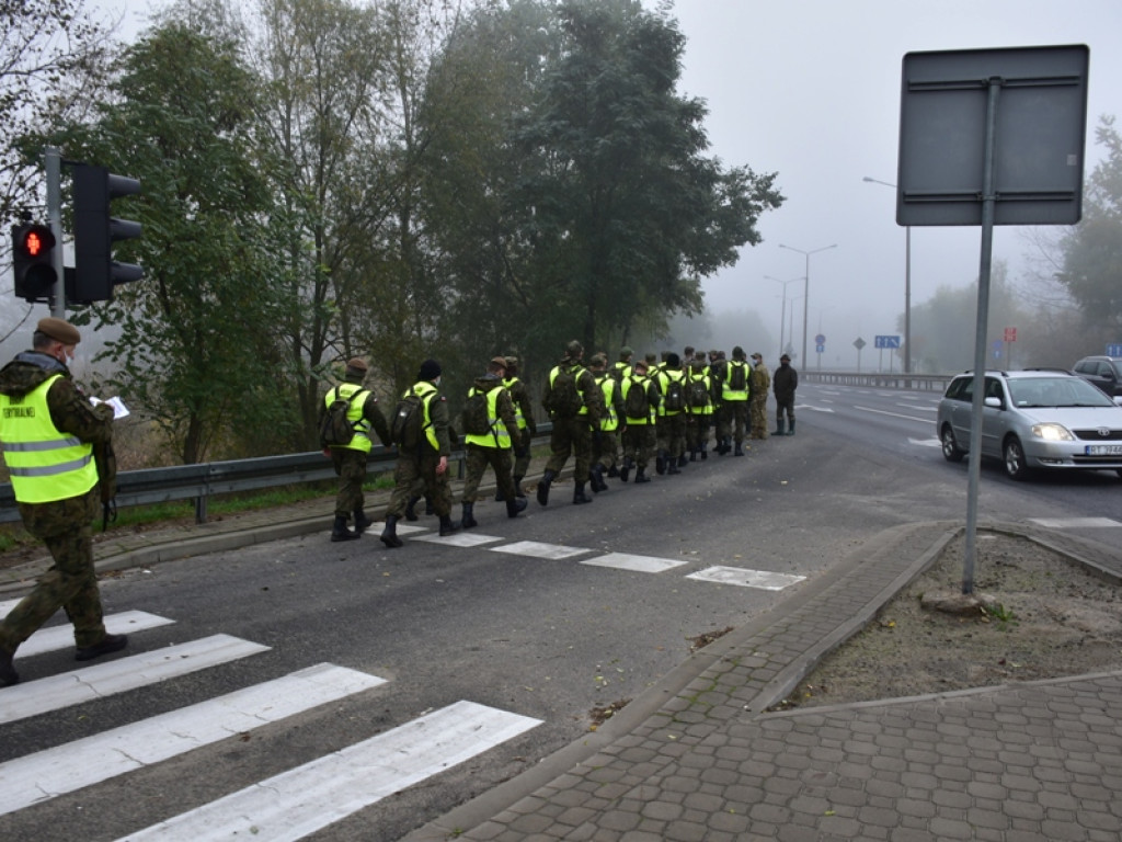 Szukają dzików. Te żywe przepędzają z Sandomierza [zdjęcia]