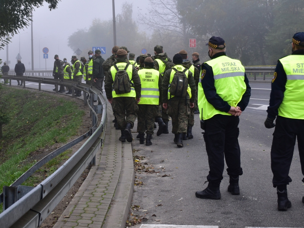 Szukają dzików. Te żywe przepędzają z Sandomierza [zdjęcia]