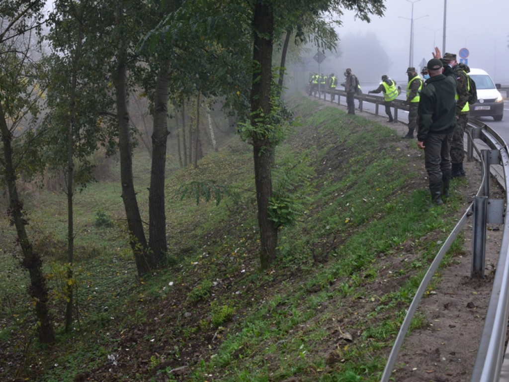 Szukają dzików. Te żywe przepędzają z Sandomierza [zdjęcia]