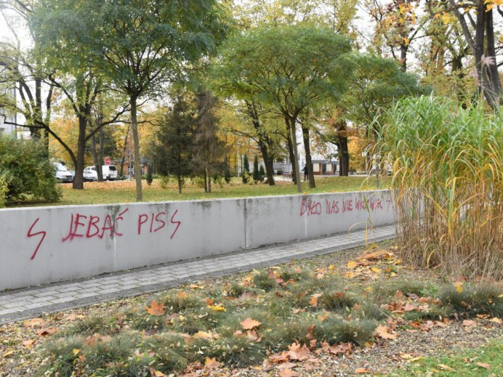 Nowa Dęba. Akty wandalizmu - zniszczone pomniki, pomalowane przedszkole, bloki [zdjęcia]