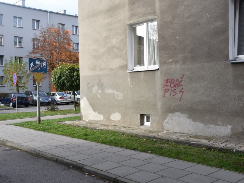 Nowa Dęba. Akty wandalizmu - zniszczone pomniki, pomalowane przedszkole, bloki [zdjęcia]