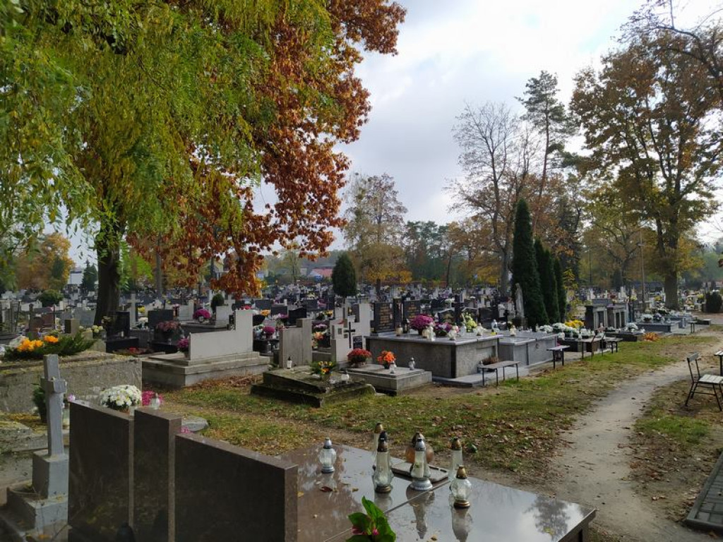 Tarnobrzeg. Łańcuchy na bramach i puste cmentarze [zdjęcia][wideo]