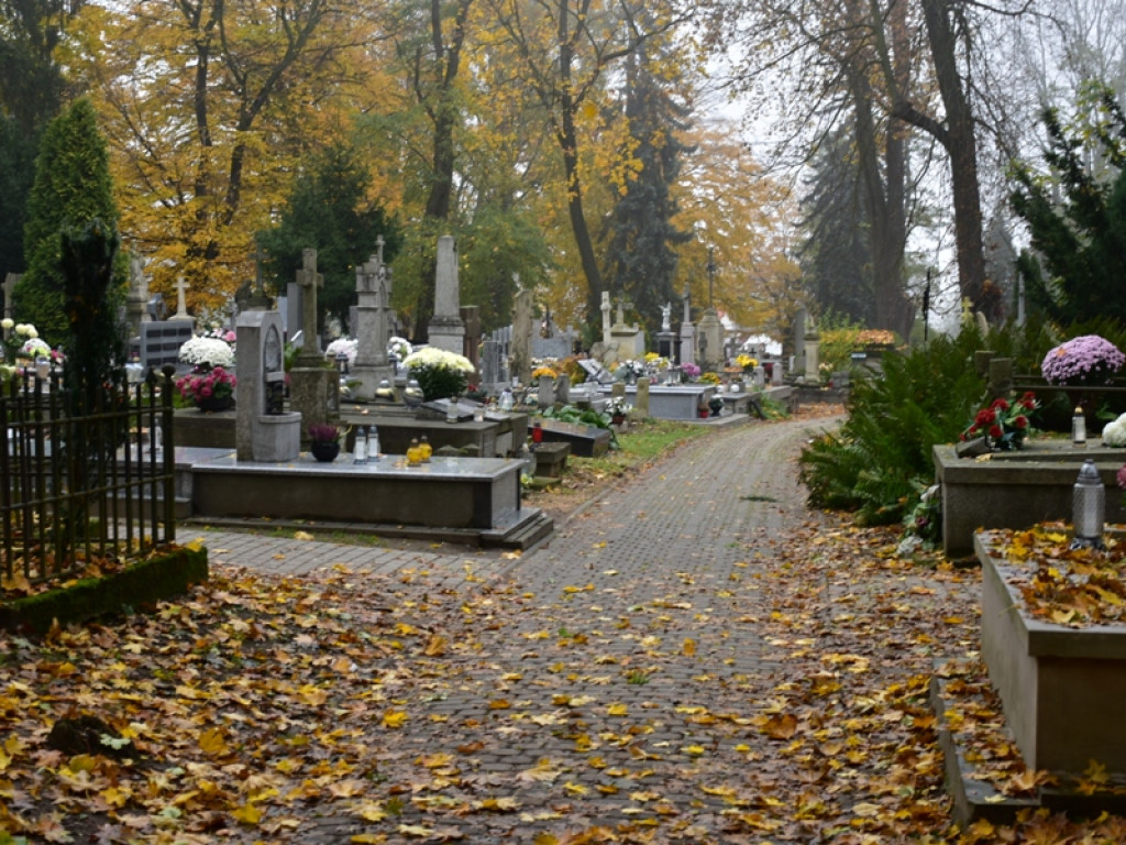 Wszystkich Świętych w Sandomierzu. Kłódki i łańcuchy na bramach, puste nekropolie [zdjęcia]