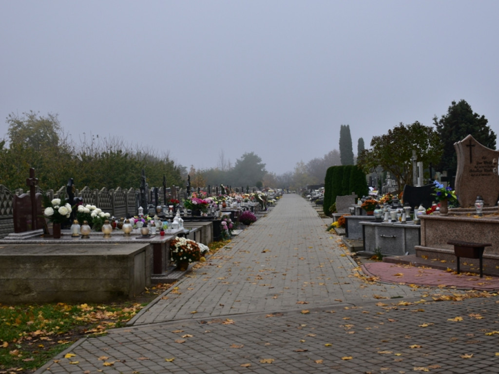 Wszystkich Świętych w Sandomierzu. Kłódki i łańcuchy na bramach, puste nekropolie [zdjęcia]