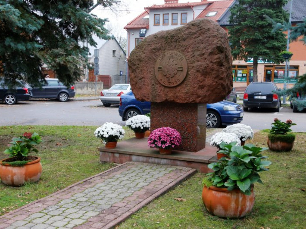 Staszów udekorowany chryzantemami. Gmina wsparła hodowców [zdjęcia]