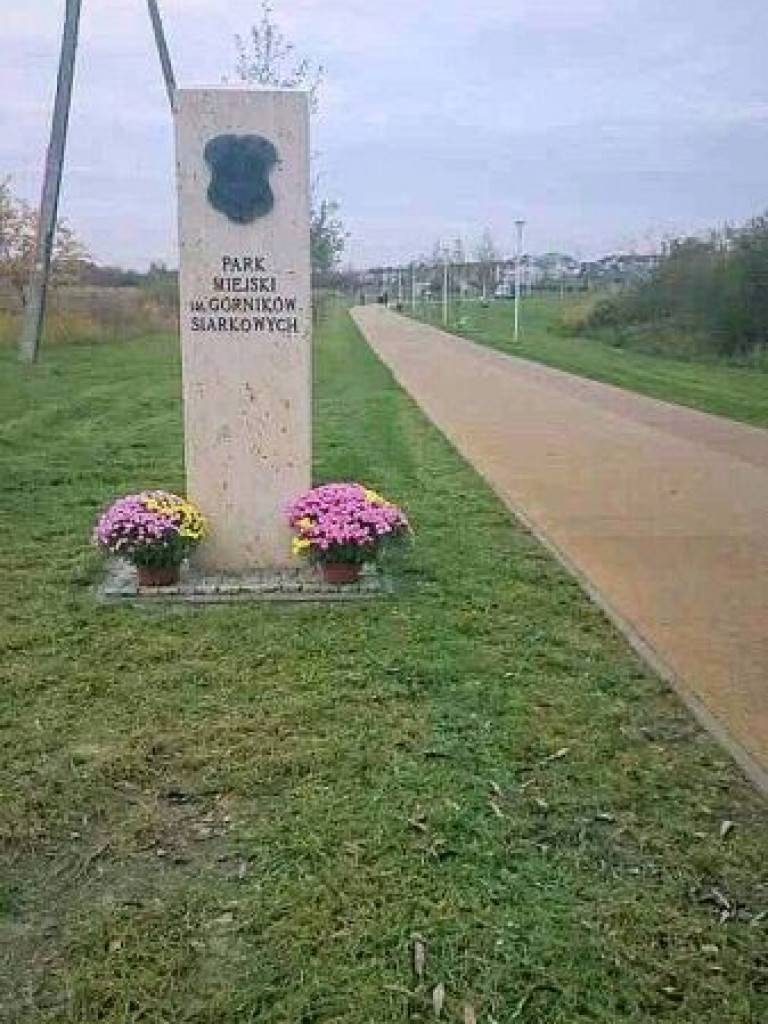 Staszów udekorowany chryzantemami. Gmina wsparła hodowców [zdjęcia]
