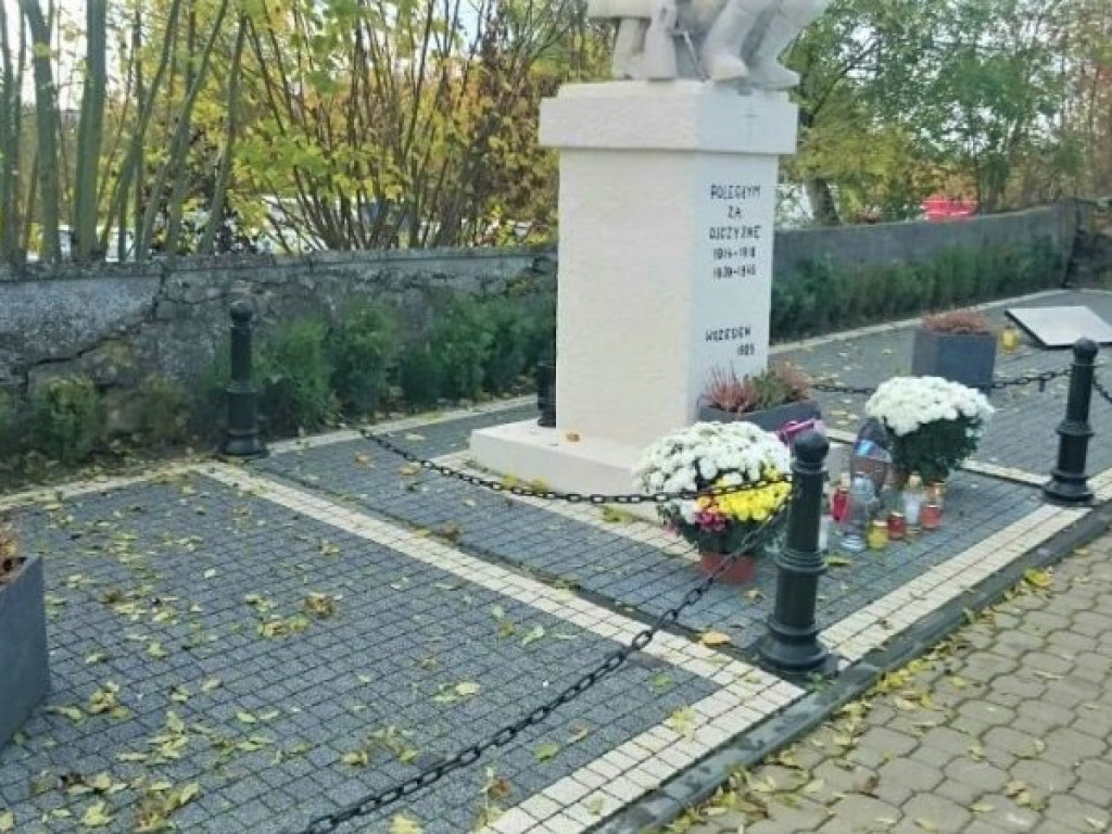 Staszów udekorowany chryzantemami. Gmina wsparła hodowców [zdjęcia]