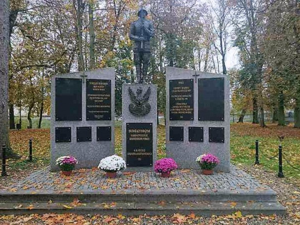 Staszów udekorowany chryzantemami. Gmina wsparła hodowców [zdjęcia]