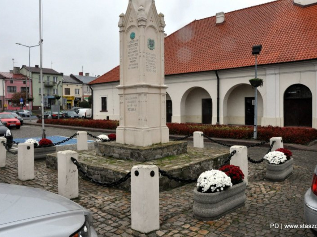 Staszów udekorowany chryzantemami. Gmina wsparła hodowców [zdjęcia]