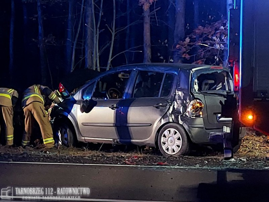 Nowa Dęba. Wypadek samochodu osobowego [zdjęcia]