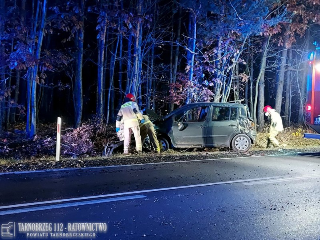 Nowa Dęba. Wypadek samochodu osobowego [zdjęcia]