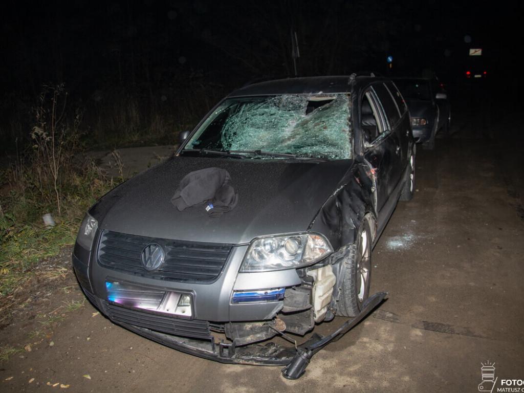 Tarnobrzeg. Zderzenie samochodu z sarną na Wisłostradzie [zdjecia]