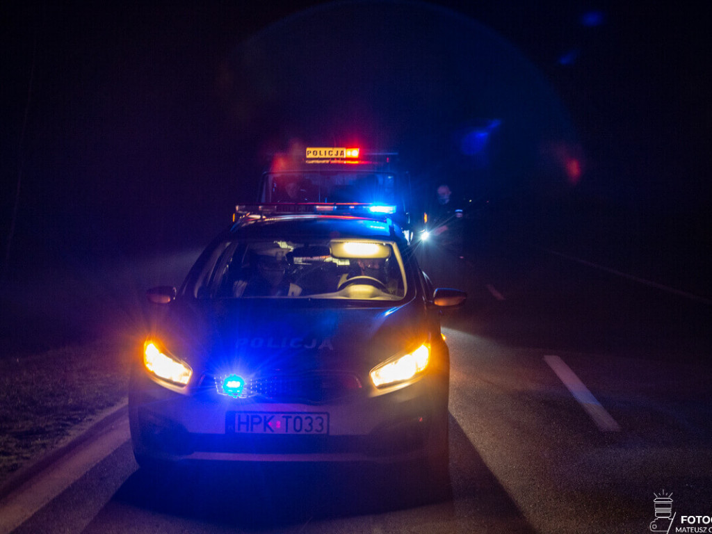 Tarnobrzeg. Zderzenie samochodu z sarną na Wisłostradzie [zdjecia]