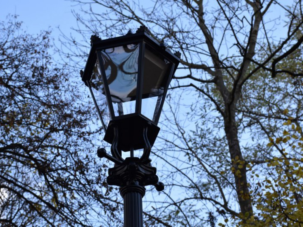 Tarnobrzeg. W Parku Dzikowskim będzie jaśniej. Pojawiły się lampy [zdjęcia]