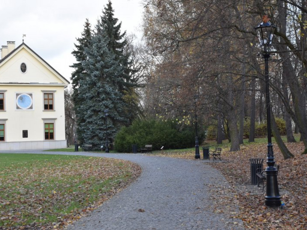 Tarnobrzeg. W Parku Dzikowskim będzie jaśniej. Pojawiły się lampy [zdjęcia]