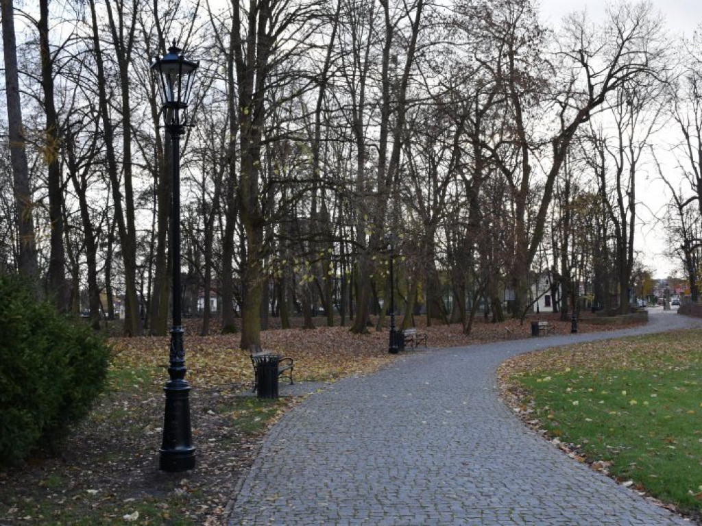 Tarnobrzeg. W Parku Dzikowskim będzie jaśniej. Pojawiły się lampy [zdjęcia]