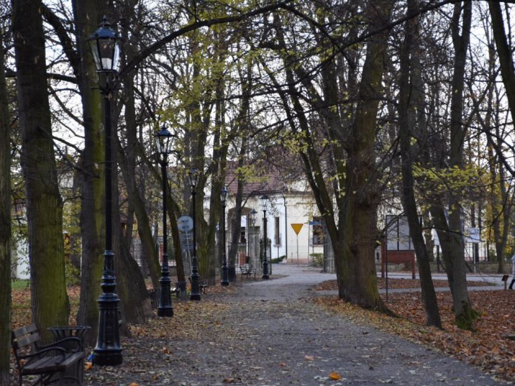 Tarnobrzeg. W Parku Dzikowskim będzie jaśniej. Pojawiły się lampy [zdjęcia]