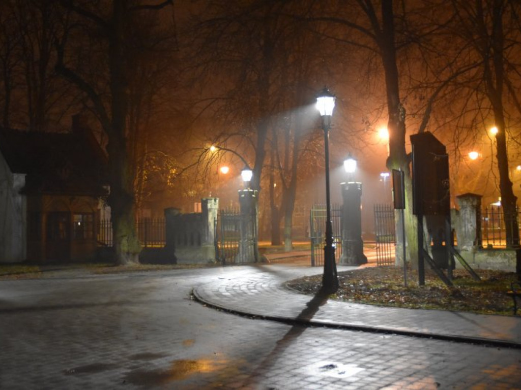 W parku przed Zamkiem Dzikowskim rozbłysły lampy [zdjęcia]