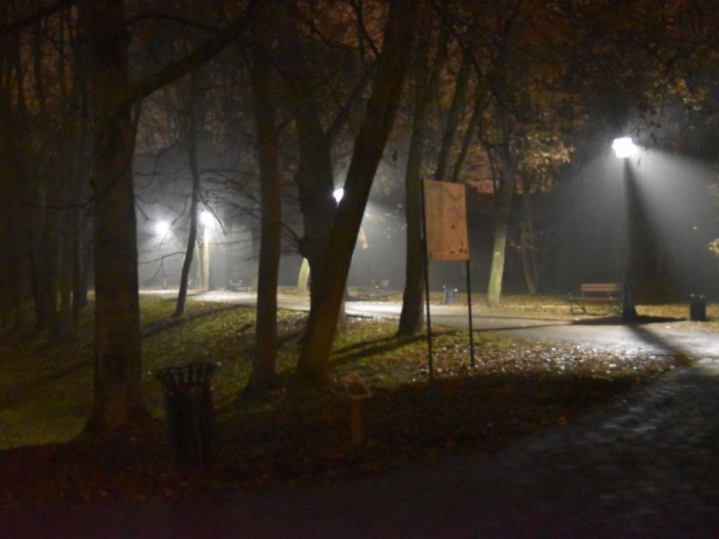 W parku przed Zamkiem Dzikowskim rozbłysły lampy [zdjęcia]