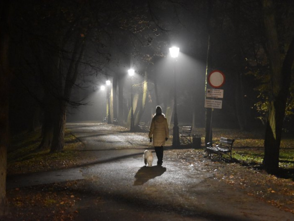 W parku przed Zamkiem Dzikowskim rozbłysły lampy [zdjęcia]