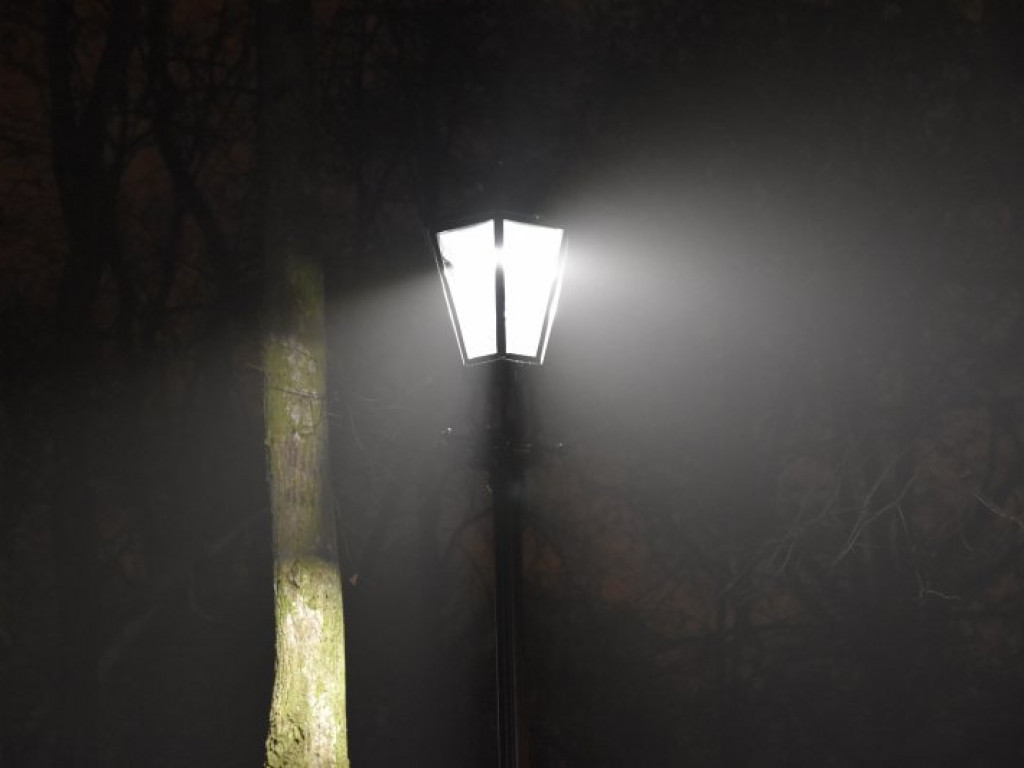 W parku przed Zamkiem Dzikowskim rozbłysły lampy [zdjęcia]