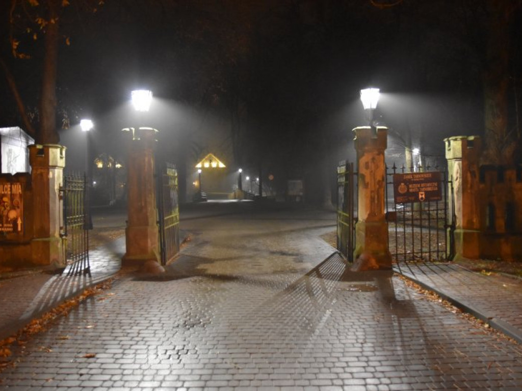 W parku przed Zamkiem Dzikowskim rozbłysły lampy [zdjęcia]