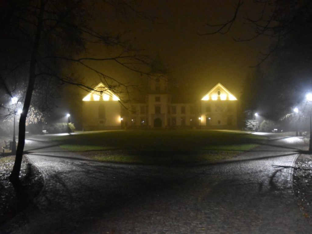 W parku przed Zamkiem Dzikowskim rozbłysły lampy [zdjęcia]