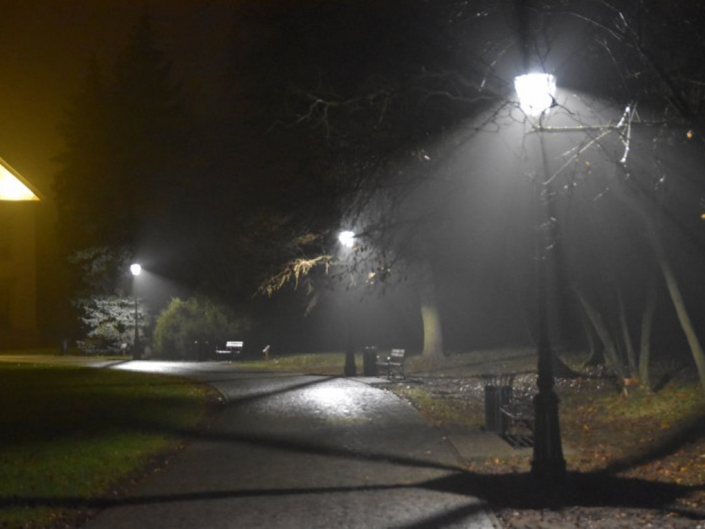 W parku przed Zamkiem Dzikowskim rozbłysły lampy [zdjęcia]