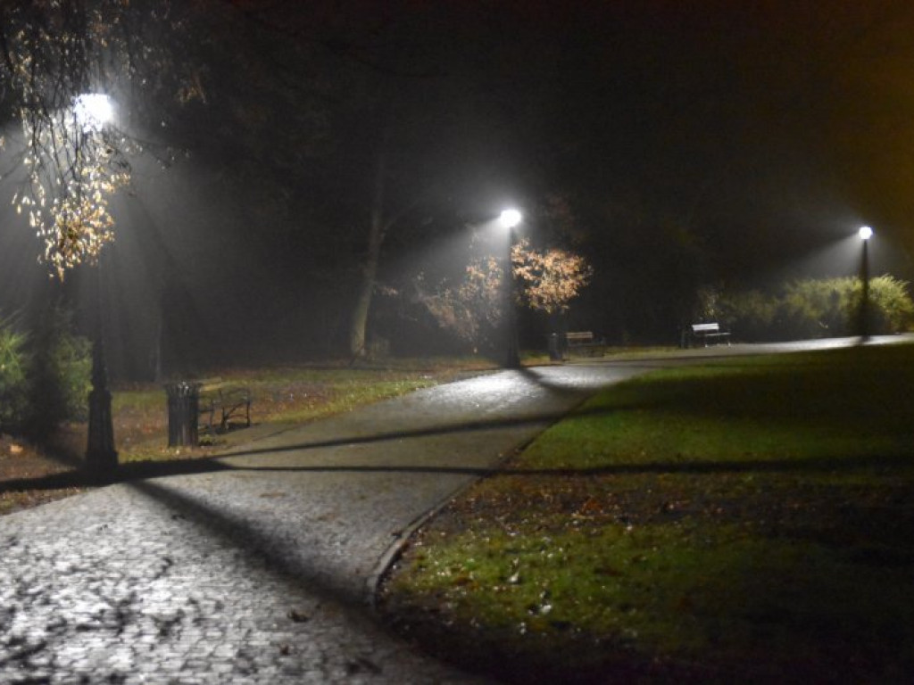 W parku przed Zamkiem Dzikowskim rozbłysły lampy [zdjęcia]