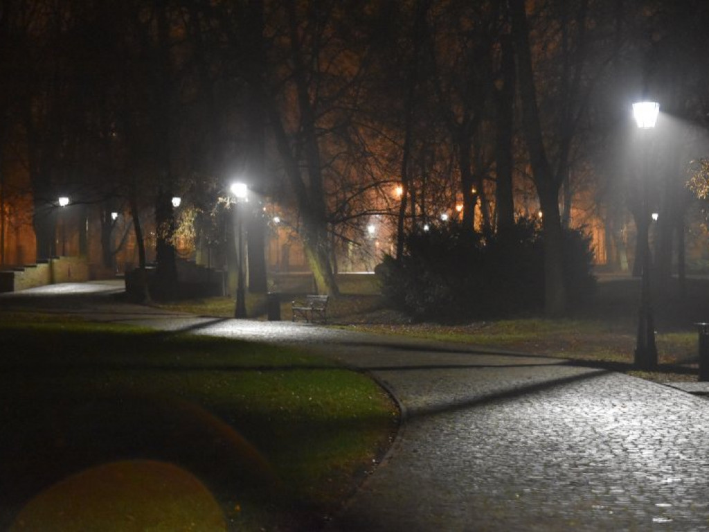 W parku przed Zamkiem Dzikowskim rozbłysły lampy [zdjęcia]