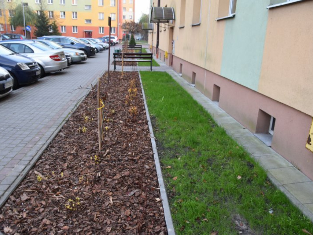 Spółdzielnia inwestuje. Tarnobrzeskie osiedla pięknieją [zdjęcia]