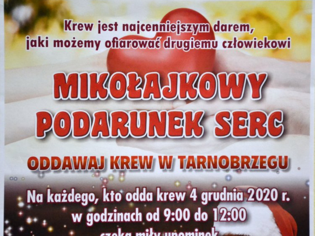 W Tarnobrzegu polała się krew [zdjęcia]