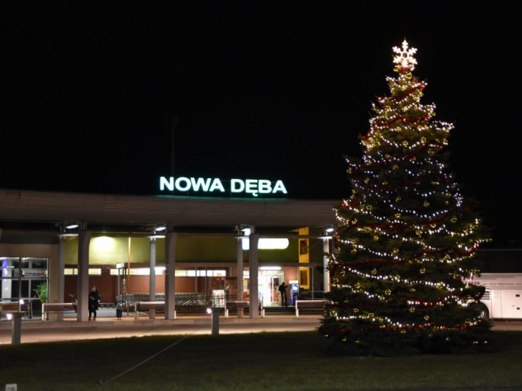 Nowa Dęba przyozdobiona na święta. Zobacz jak! [zdjęcia]