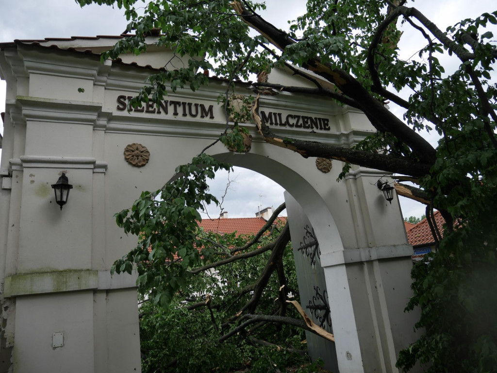 Barokowa perła znów wypiękniała. Efekt ostatnich prac w Pustelni Złotego Lasu olśniewa [zdjęcia]