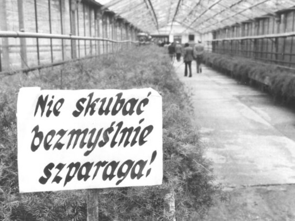 Tarnobrzeg. Kobieta z wanną na plecach, kolejki, ulice, budynki. Zobacz nasze archiwalne zdjęcia [zdjęcia]