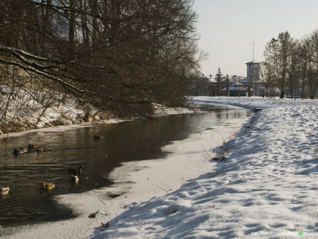 Staszów w zimowej szacie. Zobacz wyjątkowe zdjęcia!