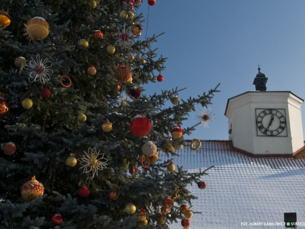 Staszów w zimowej szacie. Zobacz wyjątkowe zdjęcia!