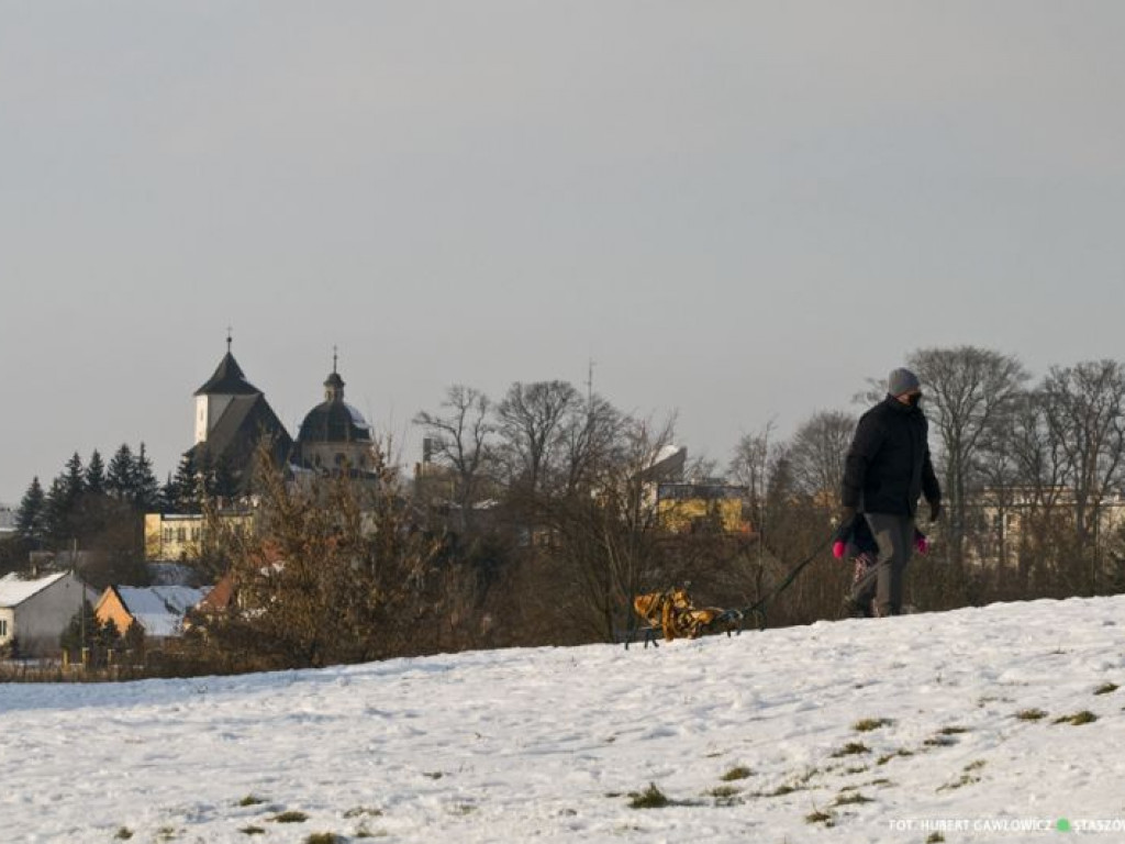 Staszów w zimowej szacie. Zobacz wyjątkowe zdjęcia!