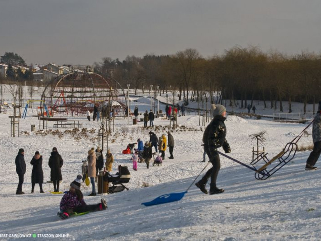 Staszów w zimowej szacie. Zobacz wyjątkowe zdjęcia!