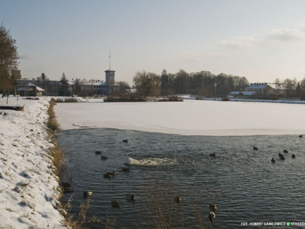 Staszów w zimowej szacie. Zobacz wyjątkowe zdjęcia!