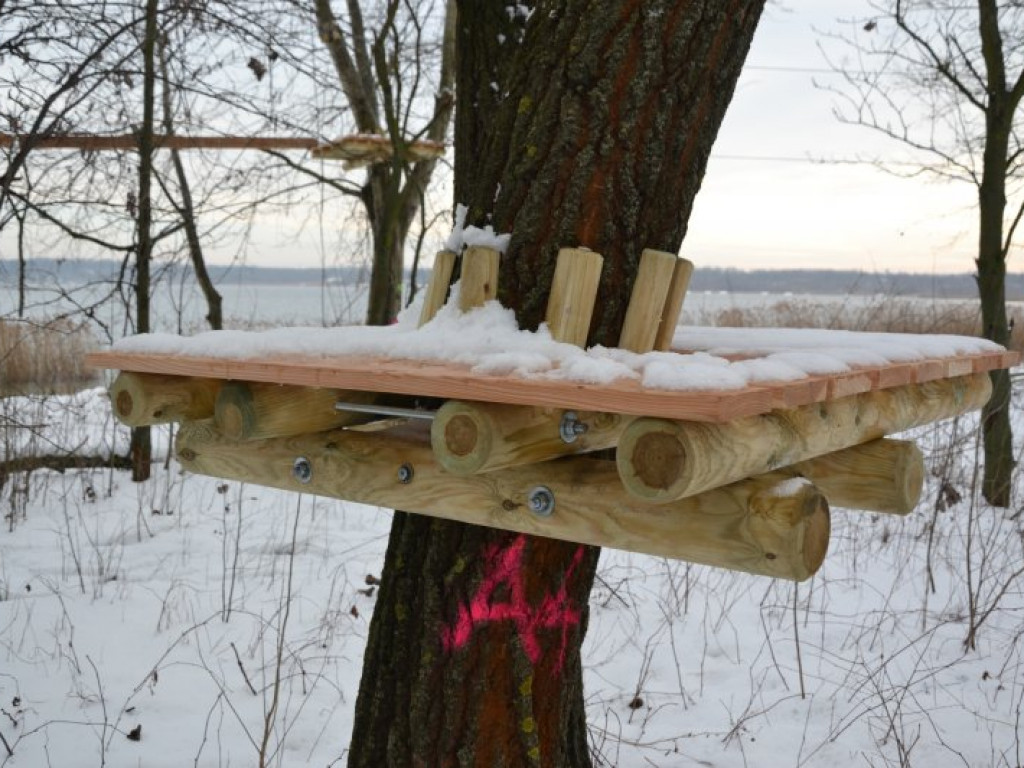 Na terenach przy Jeziorze Tarnobrzeskim powstaje park linowy [zdjęcia]