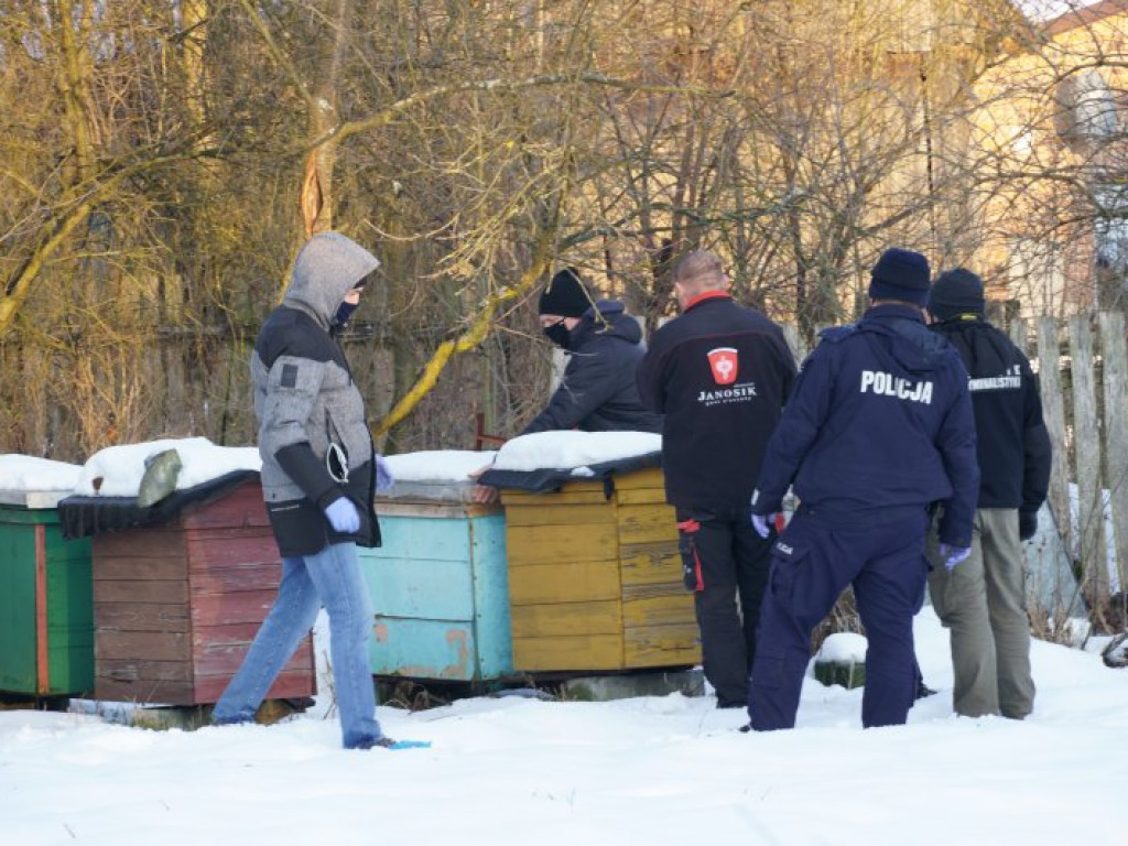 Służby badają sprawę zbrodni, do której miało dojść pod Stalową Wolą [zdjęcia]