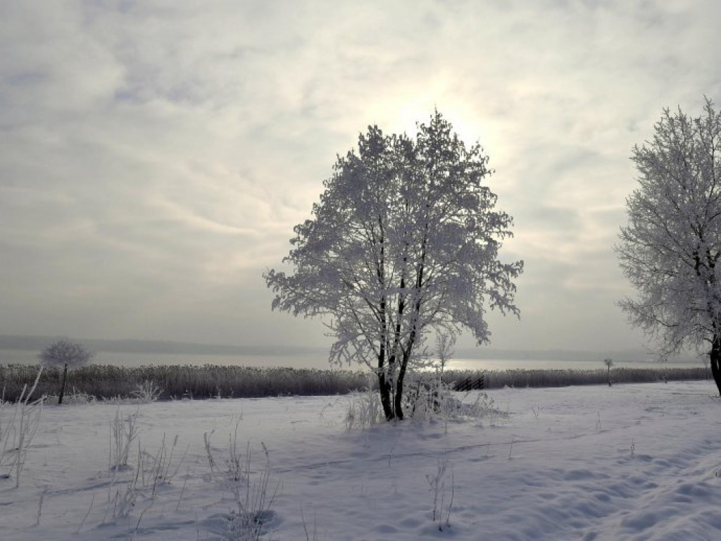 Bajeczna zima nad Jeziorem Tarnobrzeskim [zdjęcia]