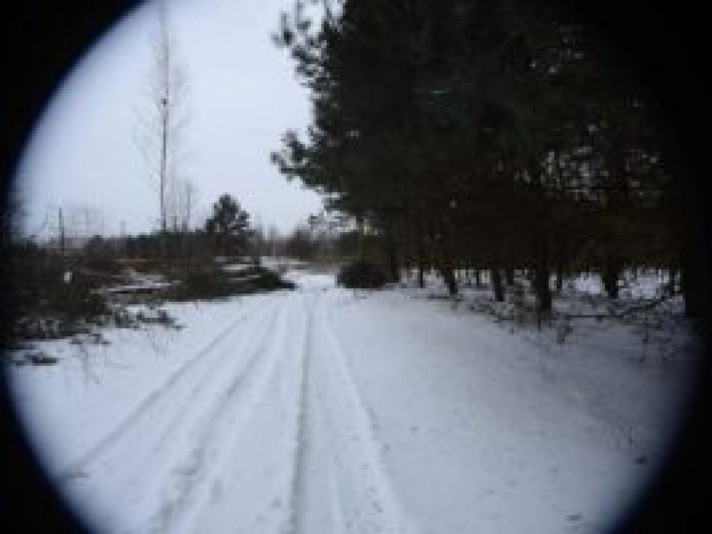 Tarnobrzeg. Spacerowicze wypatrzyli uzbrojonych ludzi w lesie Zwierzyniec [zdjęcia]