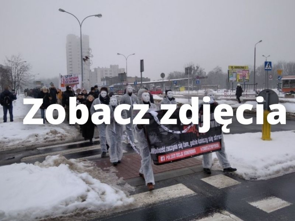 W Stalowej Woli protestowali przeciwko obostrzeniom [zdjęcia]