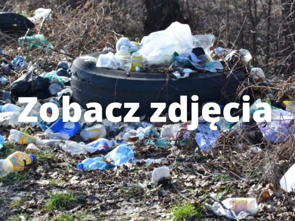 Kierowcy urządzili sobie śmietnisko przy wiadukcie w Tarnobrzegu-Nagnajowie. Obraz nędzy i rozpaczy [zdjęcia]
