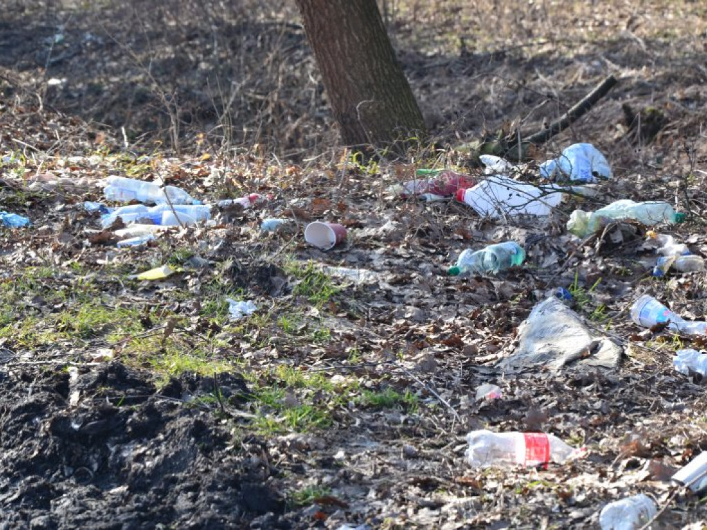 Kierowcy urządzili sobie śmietnisko przy wiadukcie w Tarnobrzegu-Nagnajowie. Obraz nędzy i rozpaczy [zdjęcia]