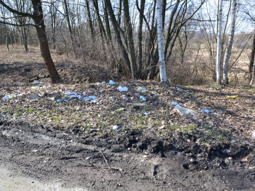 Kierowcy urządzili sobie śmietnisko przy wiadukcie w Tarnobrzegu-Nagnajowie. Obraz nędzy i rozpaczy [zdjęcia]