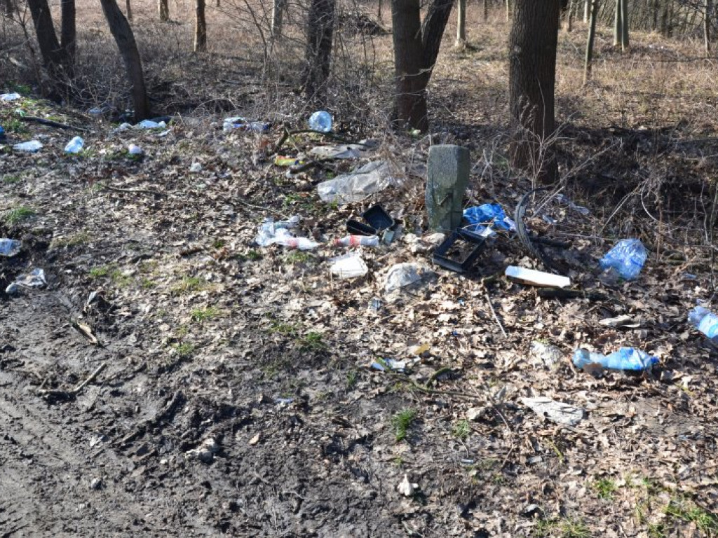 Kierowcy urządzili sobie śmietnisko przy wiadukcie w Tarnobrzegu-Nagnajowie. Obraz nędzy i rozpaczy [zdjęcia]