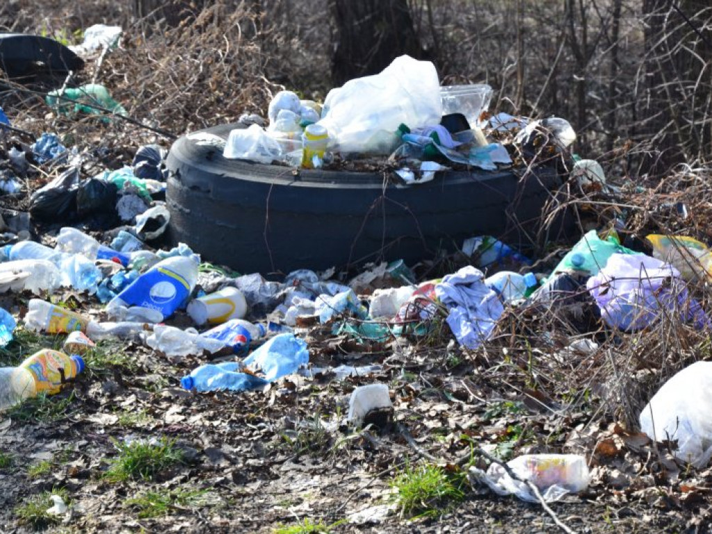 Kierowcy urządzili sobie śmietnisko przy wiadukcie w Tarnobrzegu-Nagnajowie. Obraz nędzy i rozpaczy [zdjęcia]